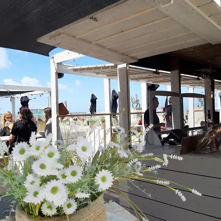 Apartman Zonnig En Gezellig Met Zijdelings Zeezicht En Zwembad In Koksijde