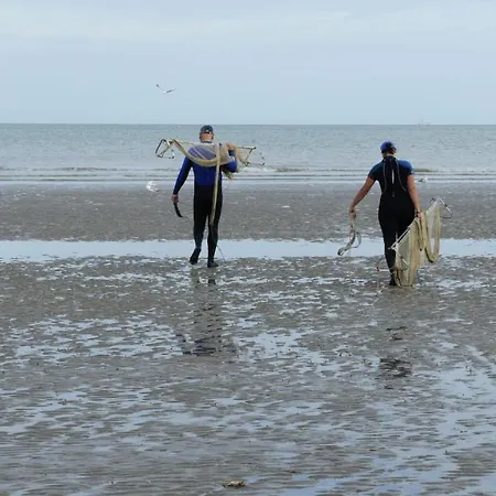 Zonnig En Gezellig Met Zijdelings Zeezicht En Zwembad In * Koksijde