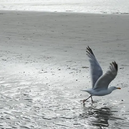 Apartman Zonnig En Gezellig Met Zijdelings Zeezicht En Zwembad In *