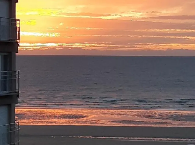 Zonnig En Gezellig Met Zijdelings Zeezicht En Zwembad In * 코크시데
