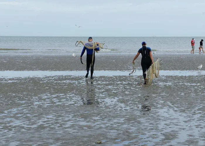 Zonnig En Gezellig Met Zijdelings Zeezicht En Zwembad In * 코크시데