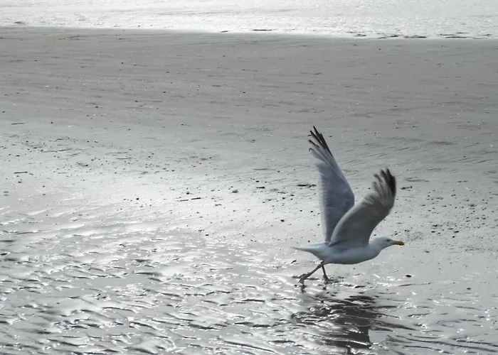 아파트 Zonnig En Gezellig Met Zijdelings Zeezicht En Zwembad In *